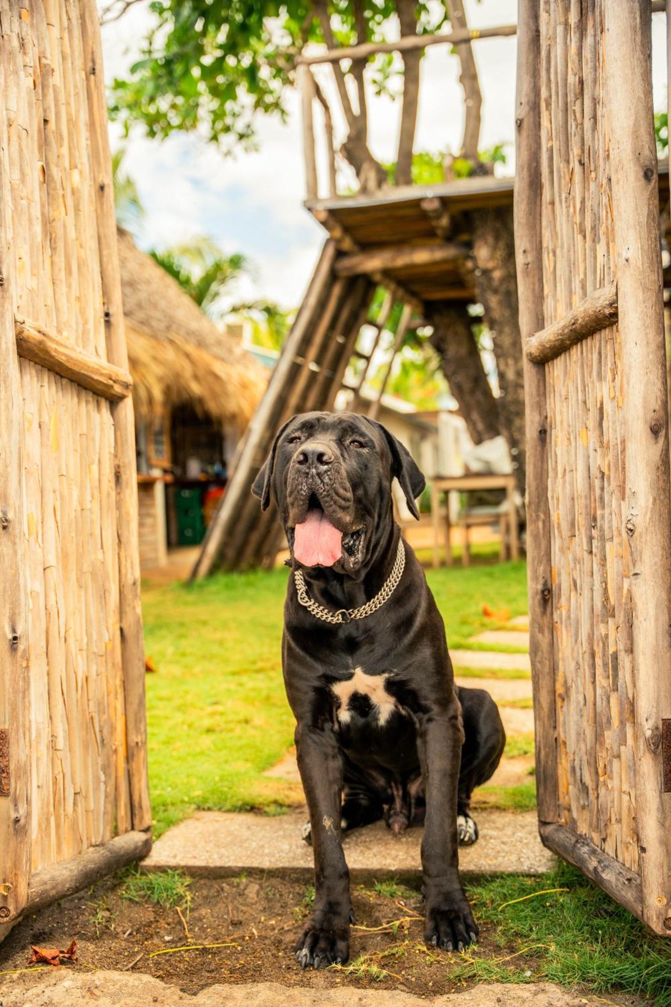 Jakes On The Beach Las Peñitas 外观 照片
